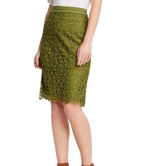Ann Taylor Floral lace pencil skirt size 12P